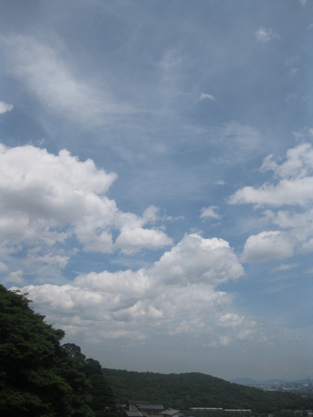 「梅雨明け」です♪_a0125419_11463839.jpg