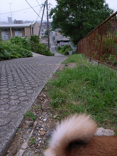 b0225620_9265949.jpg