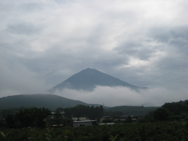 b0093221_1133849.jpg
