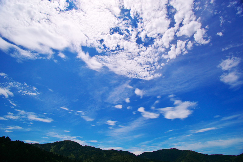 d0237223_21592948.jpg