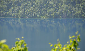 d0023725_2313511.jpg