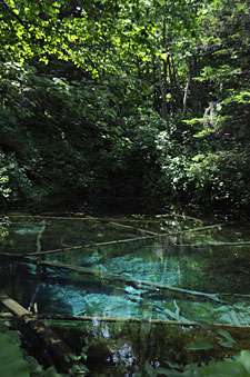 d0023725_2314020.jpg