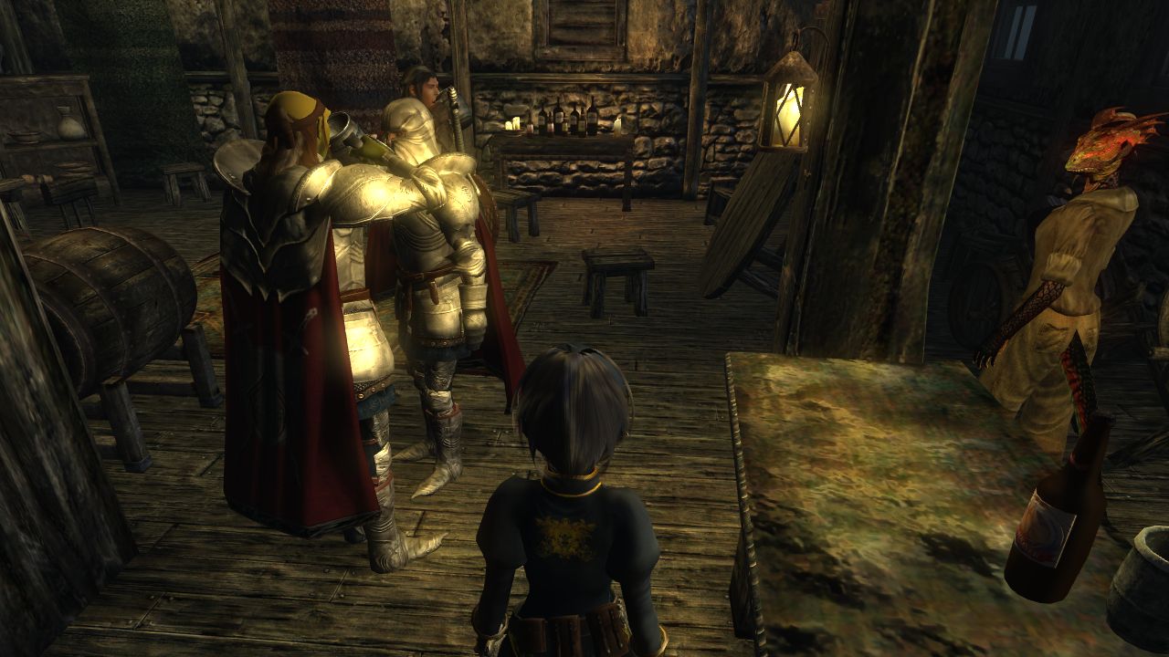 Tes4 Oblivion 戦士ギルド 酔っ払いの無法者 盗賊の巣窟 Monochrome 白と黒の世界