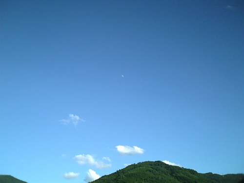 ただいま~帰りました_c0036138_21141446.jpg