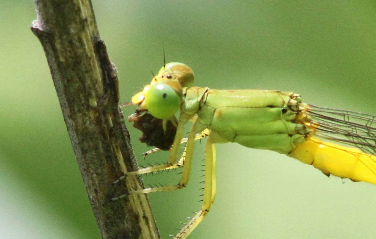 c0172139_0131788.jpg