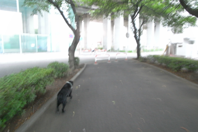 c0039145_16172396.jpg