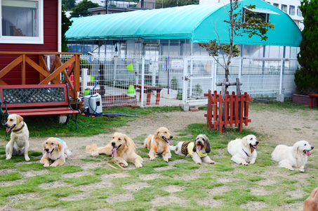 ありまとぉ♪でいっぱい その2_f0044853_1757377.jpg