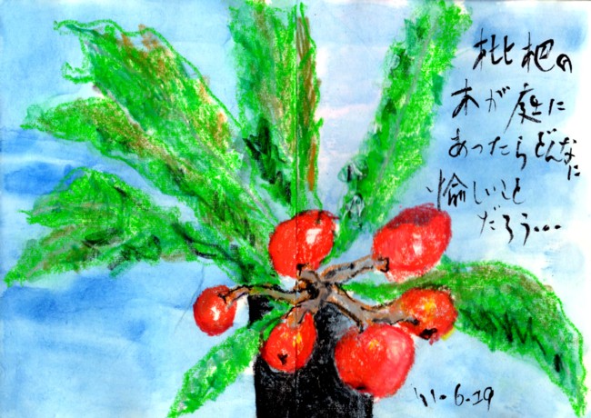 もし枇杷の木が私の庭にあったら・・・_e0074955_16335058.jpg