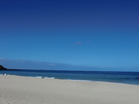 e0033156_11264856.jpg
