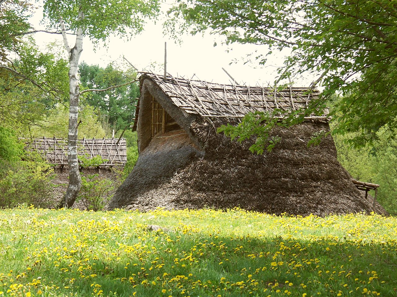 与助尾根遺跡　（茅野市）_a0023170_14201640.jpg