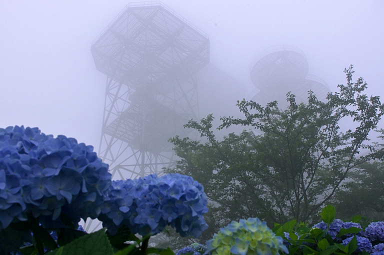 霧の中の紫陽花山--４--　20110704_a0050572_951314.jpg