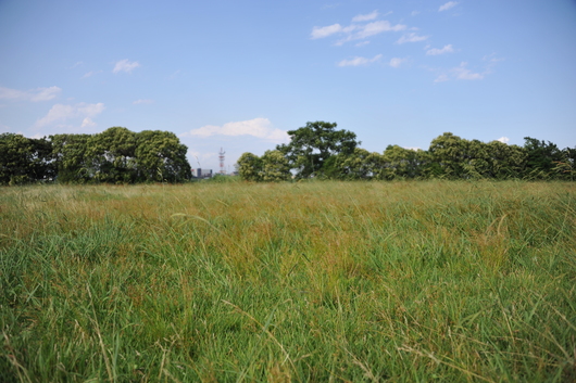 f0193680_024254.jpg