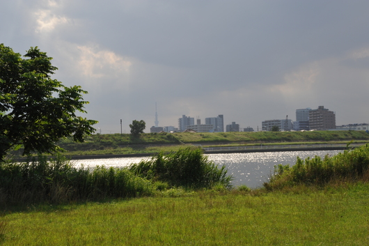 f0193680_029484.jpg