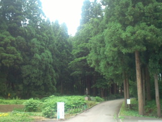 b0125384_2050958.jpg