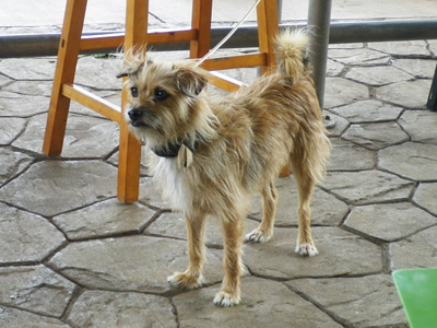 f0220791_875668.jpg