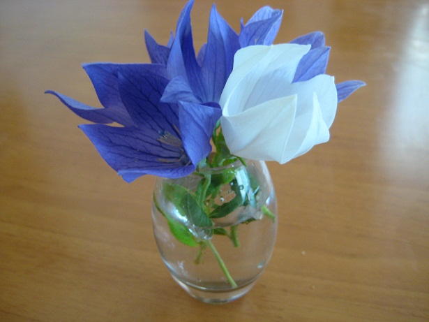 f0210495_140389.jpg