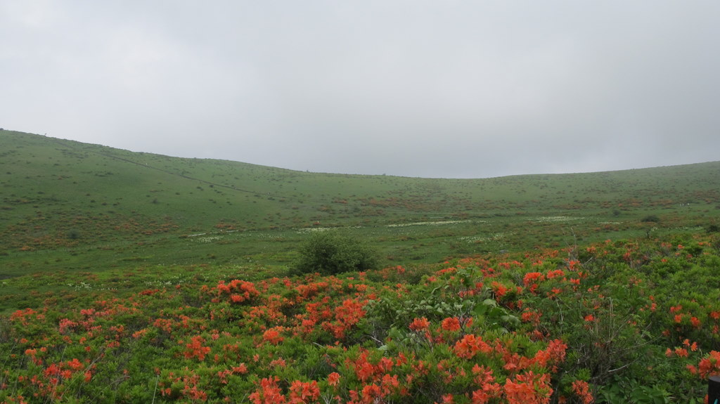 e0099496_17464713.jpg