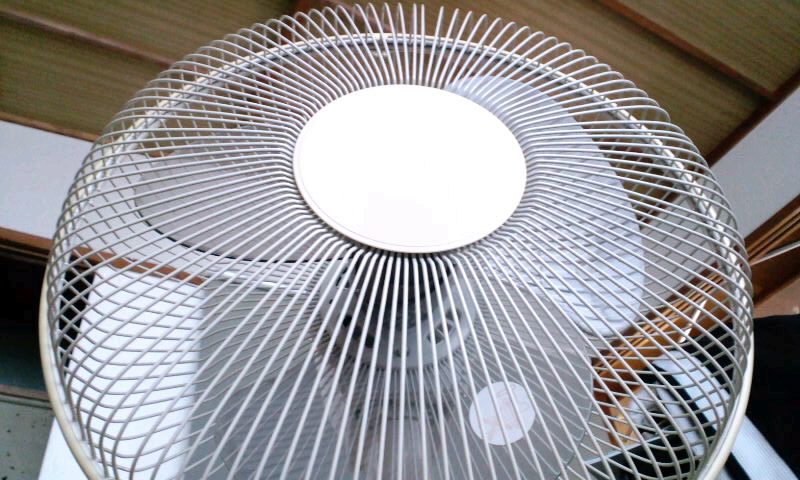 d0093903_8821.jpg