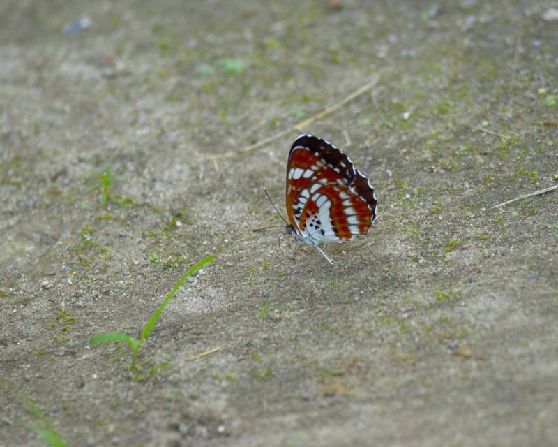 e0103903_17243822.jpg