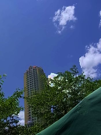 a0109304_0262862.jpg