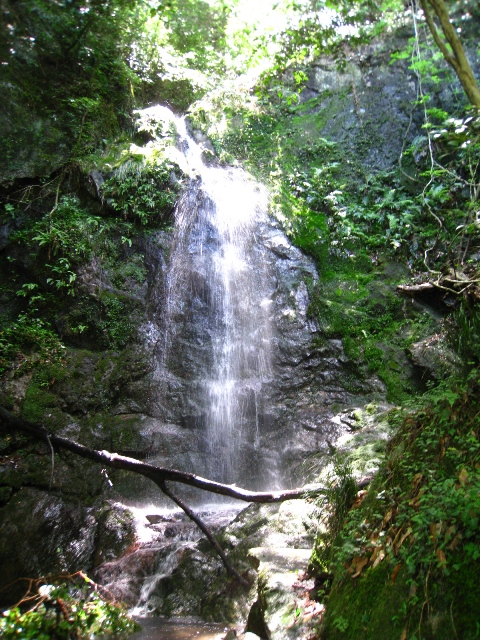 a0097006_2259576.jpg