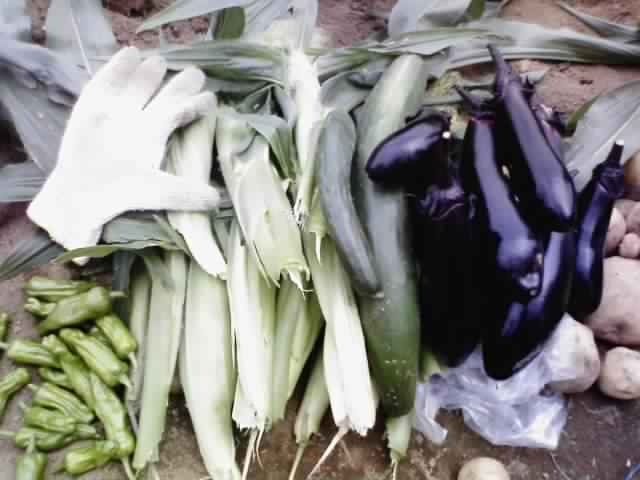 c0064706_1043385.jpg