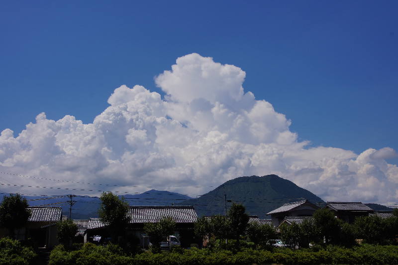a0196709_22265420.jpg