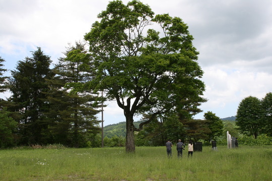 d0119909_943513.jpg