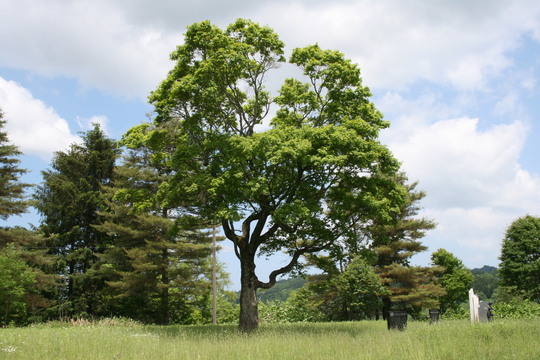 d0119909_9442817.jpg