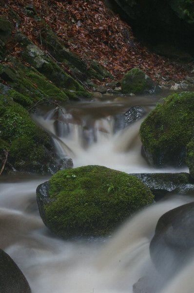 気晴らしに日光浴。_d0178511_1922233.jpg