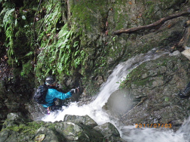 d0006512_198010.jpg