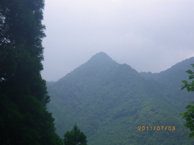 d0006512_1984329.jpg