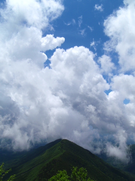 c0177814_13314335.jpg