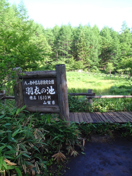 c0177814_13402451.jpg