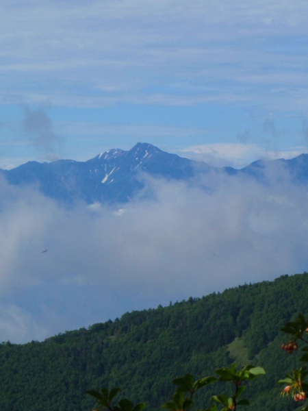 c0177814_13542449.jpg