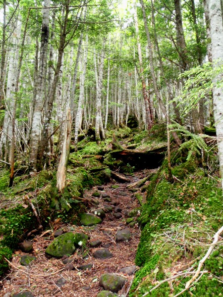 c0177814_1421573.jpg