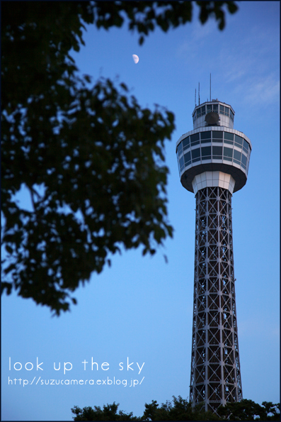 空を見上げると_f0100215_01173.jpg