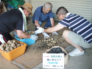 東近江市北坂　「チャコールアイロン」実証実験圃場ジャガイモ収穫祭　(2011.07.10)_d0204017_23524368.jpg