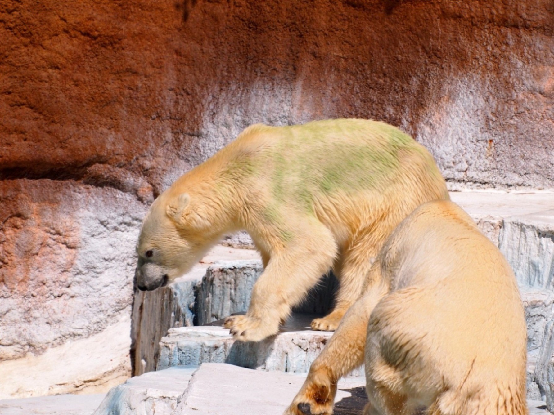 e0163618_21554752.jpg