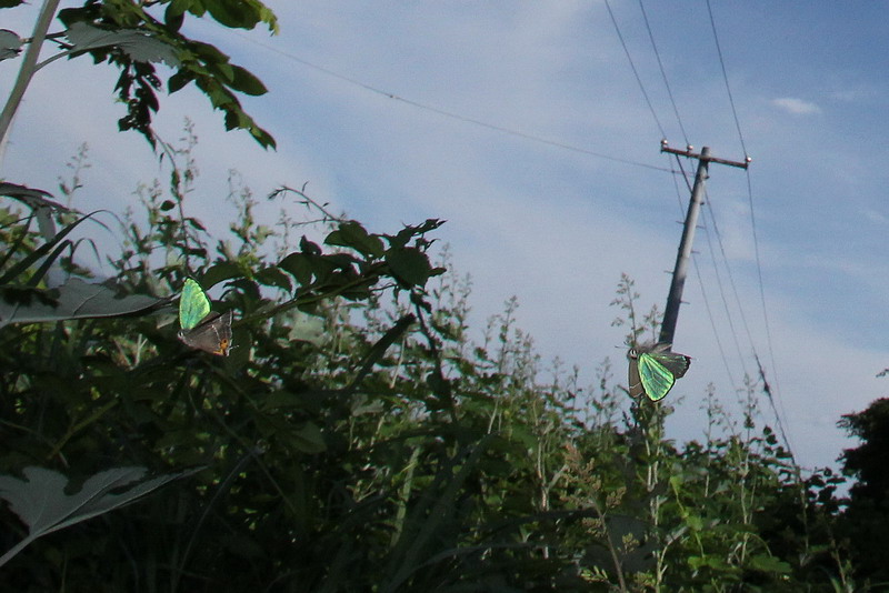 d0090322_19493712.jpg