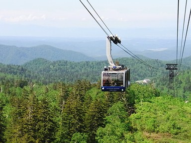 c0204725_9132415.jpg