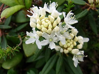 c0204725_9152267.jpg