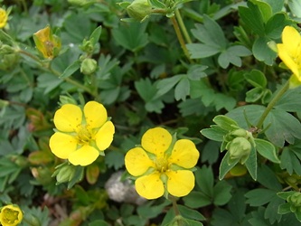 c0204725_9154683.jpg