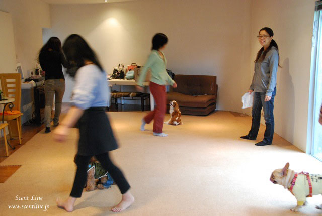 ドッグダンス教室の模様_c0099133_21475229.jpg
