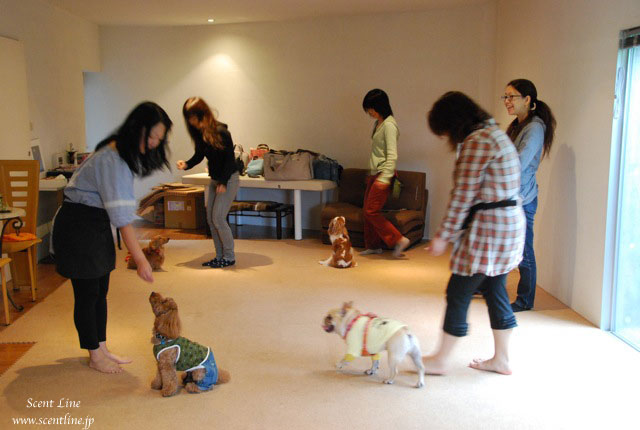 ドッグダンス教室の模様_c0099133_21483554.jpg
