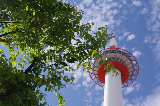 c0113733_23371520.jpg