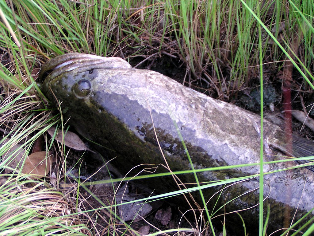 d0044037_183705.jpg