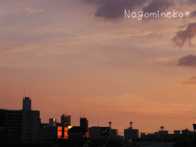 a0166338_19411089.gif