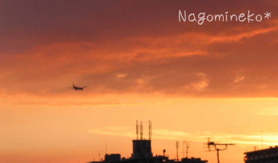 a0166338_194726.gif