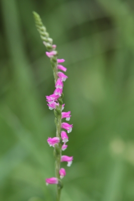 c0172139_21222969.jpg